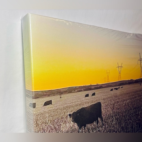 Cattle at Dusk Wrapped Canvas Wall Art | 16x24 - Picture 2 of 3
